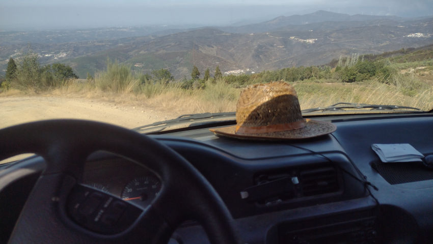 Forest Fire Getaways, our Return & a Scouting Adventure