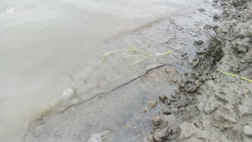 Video of beautiful view of the water of the Yamuna River episode artwork