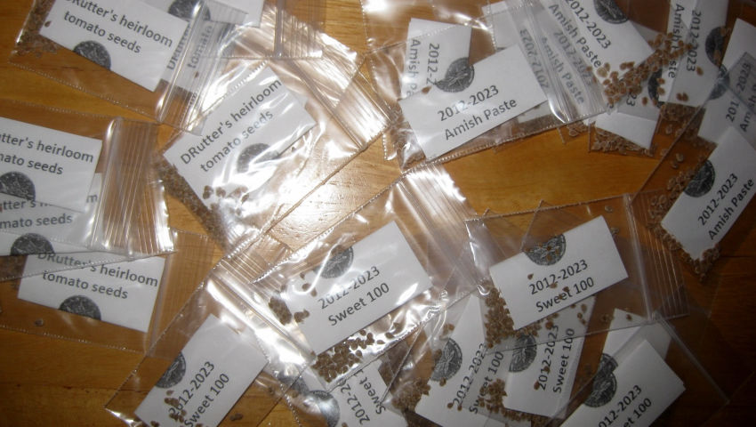 DRutter's 2026 heirloom tomato seed giveaway