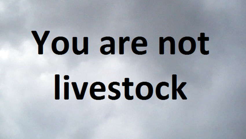 You are not livestock
