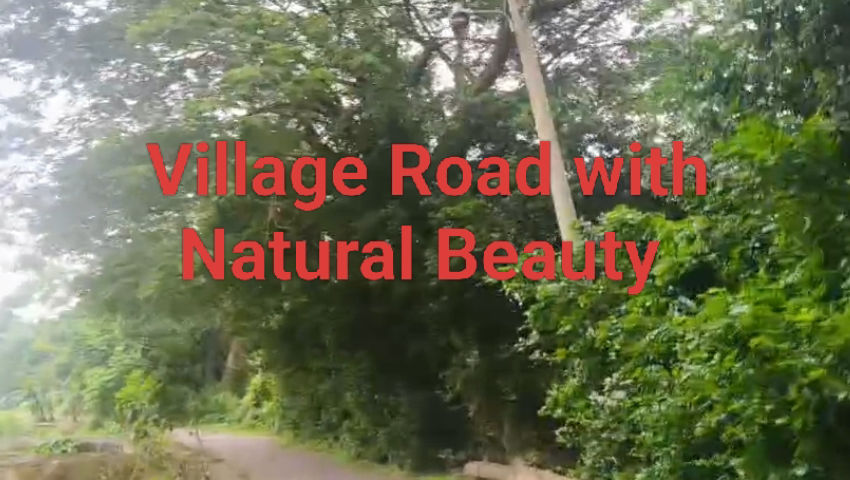 Beautiful Natural Beauty episode artwork
