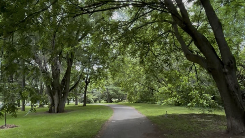 A Bike Ride at the park
