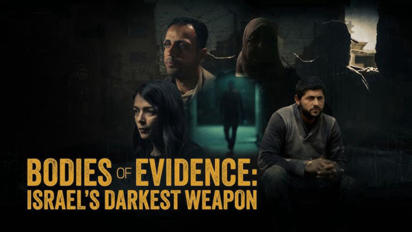 Bodies of Evidence