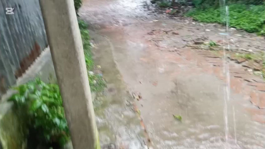 Video taken during the rain this afternoon. episode artwork