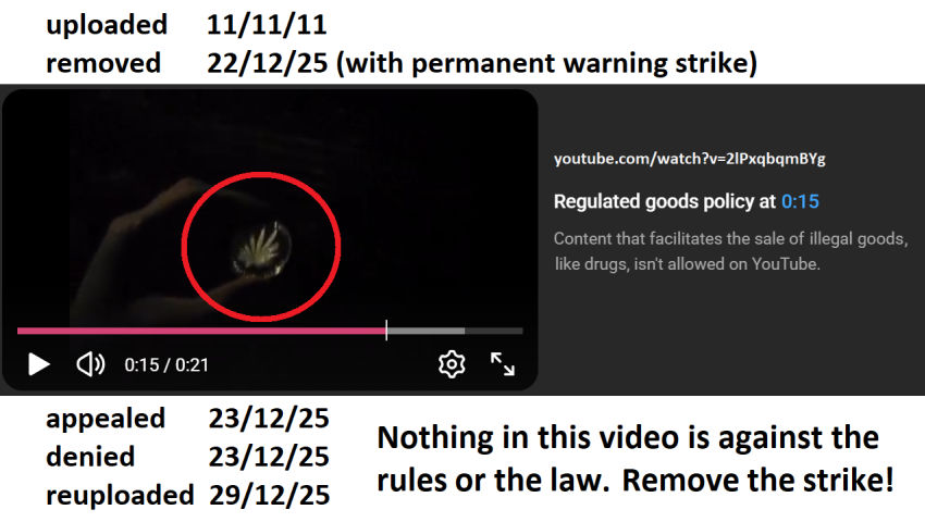 YT deleted this 14 year old 20 second video!