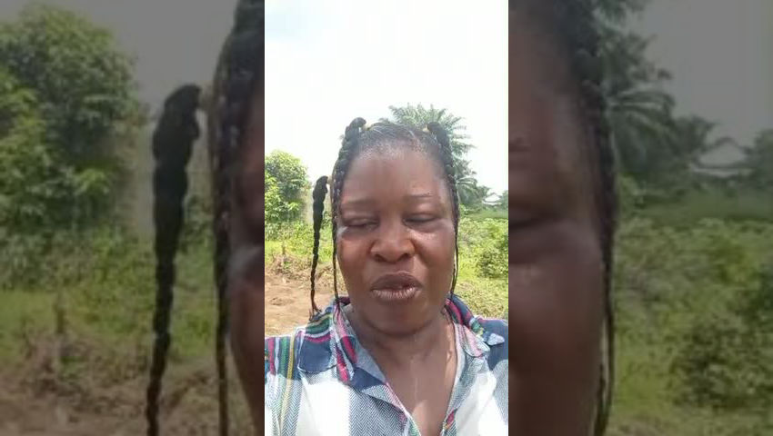 We farm in crypto space/Agriculture/garden