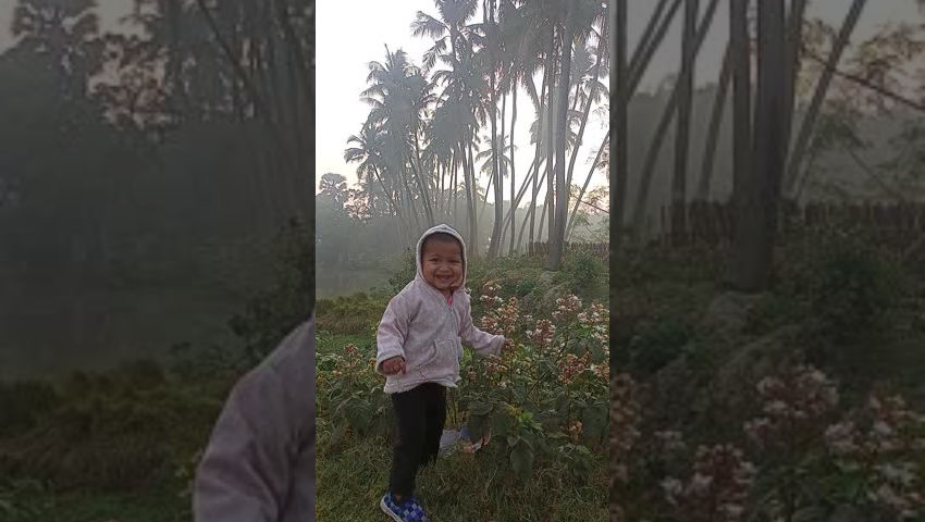 Fatema\'s Blog