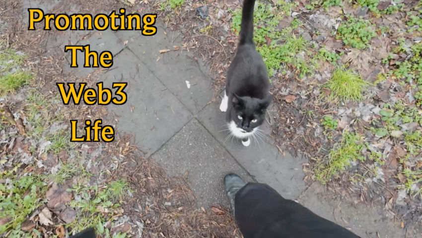 Promoting The Web3 Life