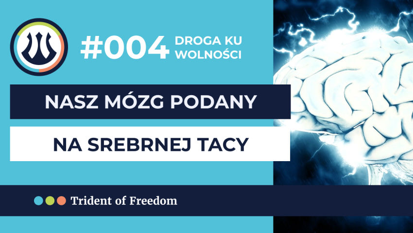 DKW #004 Mózg podany na srebrnej tacy episode artwork