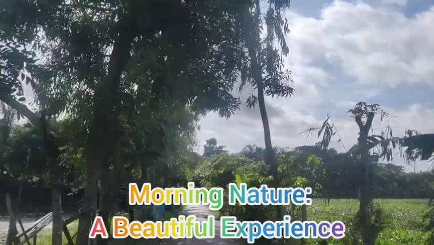 💐♥️🎉 Morning Nature: A Beautiful Experience♥️🌲