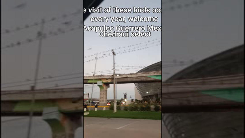 Tours Acapulco