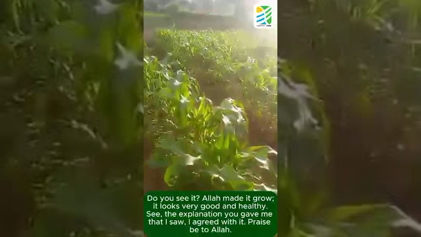 Organic fertilizer and your farm