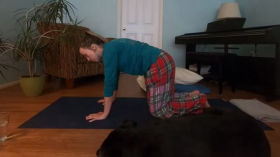 Yoga for Colds and Upper Respiratory Infections - 24 Minutes